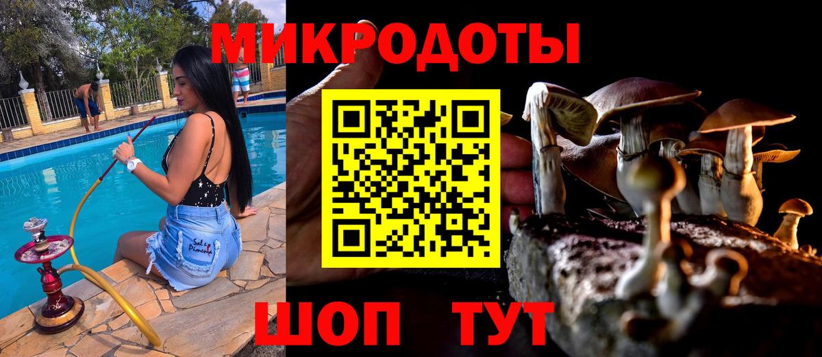 Галлюциногенные грибы MAGIC MUSHROOMS  Псилоцибиновые грибы прущие грибы  Нижнеудинск  Вход с VPN 